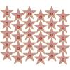 Beistle Mini “Star” Cutouts – 30-Count Double-Sided Cardstock Stars for Awards Night & Hollywood VIP Theme Parties – Customizable – Celebrity Event Decorations, 5″