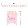 Beistle Sweet 16 Streamers – 2 Pack, Pink & Gold Sweet Sixteen Pennant Banners, Cardstock Flag Garlands with Ribbon for Birthday Parties, Wall Décor, Photo Booth Backdrops & Event Displays, 6″ x 8′