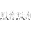 Number “16” Whirls Pack of 2