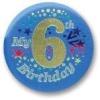Beistle My 6th Birthday Satin Button in Blue