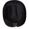 Beistle Purple Velour Cowboy Hat – Western Costume Headwear with Adjustable Chin Strap, Country Theme Accessory for Rodeo Parties, Ranch Events, Photo Booth Props, and Themed Displays(Black)