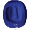 Beistle Purple Velour Cowboy Hat – Western Costume Headwear with Adjustable Chin Strap, Country Theme Accessory for Rodeo Parties, Ranch Events, Photo Booth Props, and Themed Displays(Blue)
