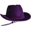 Beistle Purple Velour Cowboy Hat – Western Costume Headwear with Adjustable Chin Strap, Country Theme Accessory for Rodeo Parties, Ranch Events, Photo Booth Props, and Themed Displays(Purple)