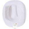 Beistle Purple Velour Cowboy Hat – Western Costume Headwear with Adjustable Chin Strap, Country Theme Accessory for Rodeo Parties, Ranch Events, Photo Booth Props, and Themed Displays(White)