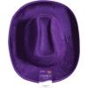 Beistle Purple Velour Cowboy Hat – Western Costume Headwear with Adjustable Chin Strap, Country Theme Accessory for Rodeo Parties, Ranch Events, Photo Booth Props, and Themed Displays(Purple)