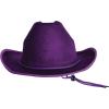 Beistle Purple Velour Cowboy Hat – Western Costume Headwear with Adjustable Chin Strap, Country Theme Accessory for Rodeo Parties, Ranch Events, Photo Booth Props, and Themed Displays(Purple)