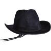 Beistle Purple Velour Cowboy Hat – Western Costume Headwear with Adjustable Chin Strap, Country Theme Accessory for Rodeo Parties, Ranch Events, Photo Booth Props, and Themed Displays(Black)