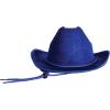 Beistle Purple Velour Cowboy Hat – Western Costume Headwear with Adjustable Chin Strap, Country Theme Accessory for Rodeo Parties, Ranch Events, Photo Booth Props, and Themed Displays(Blue)