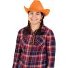 Beistle Purple Velour Cowboy Hat – Western Costume Headwear with Adjustable Chin Strap, Country Theme Accessory for Rodeo Parties, Ranch Events, Photo Booth Props, and Themed Displays(Orange)