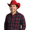 Beistle Purple Velour Cowboy Hat – Western Costume Headwear with Adjustable Chin Strap, Country Theme Accessory for Rodeo Parties, Ranch Events, Photo Booth Props, and Themed Displays(Red)