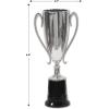 Beistle Trophy Cup Awards – 6 Pack, Silver Metallic Trophy Cups on Black Base, Classic Recognition Display for Sports Events & Team Recognition, Celebrations & Award Ceremonies, 8½”