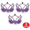 Beistle Purple Plastic Tiaras – 3 Pack, Crown Headpieces with Metallic Fringe, Spirit Headwear for Stage Performances, Halloween Costumes, Photo Booth Props, Themed Events & Novelty Party Wear