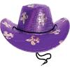Beistle Sequined Mardi Gras Cowboy Hat – Purple Western Hat with Gold Fleur-de-Lis, Sparkling Costume Accessory with Adjustable Chin Strap for New Orleans Parties, Parades & Carnival Celebrations