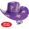Beistle Sequined Mardi Gras Cowboy Hat – Purple Western Hat with Gold Fleur-de-Lis, Sparkling Costume Accessory with Adjustable Chin Strap for New Orleans Parties, Parades & Carnival Celebrations