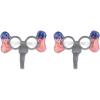 Beistle Patriotic Glasses, Political Costume Accessories, Election Day Party Supplies, Fourth of July Novelty Decorations(Patriotic Elephant Glasses)