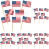 U S Flag Picks Counter Display (144/Box)(2.5″ (Pack of 5))