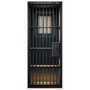 Beistle Jail Cell Door Covers – 2 Pack, All-Weather Thin Plastic Prison Bar Decorations, Realistic Lockup Entrance Panels for Halloween Scenes, Haunted Displays & Mugshot Photo Backdrops, 6′ x 30″