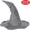 Beistle 60348 Felt Wizard hat, One Size Fits Most, Gray, 1 Piece Pack