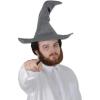 Beistle 60348 Felt Wizard hat, One Size Fits Most, Gray, 1 Piece Pack