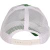 Beistle Happy St. Patrick’s Day Shamrock Cap – Green and White Hat with Clover Design, Festive Irish Party Accessory for Parades, Pubs and Celebrations, Adjustable