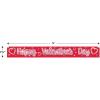 Metallic Happy Valentine’s Day Fringe Banner Party Accessory (1 count) (1/Pkg)(8″ X 5′)