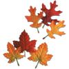 Beistle , 48 Piece Autumn Leaves, 4.5″ to 5.5″(48 piece)