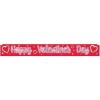Metallic Happy Valentine’s Day Fringe Banner Party Accessory (1 count) (1/Pkg)(8″ X 5′)