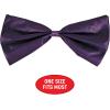 Beistle Green Bow Ties(Purple)