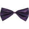 Beistle Green Bow Ties(Purple)