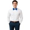 Beistle Green Bow Ties(Blue)