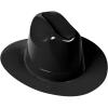 Beistle Plastic Cowboy Hats(Black)