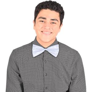Beistle Green Bow Ties(White)