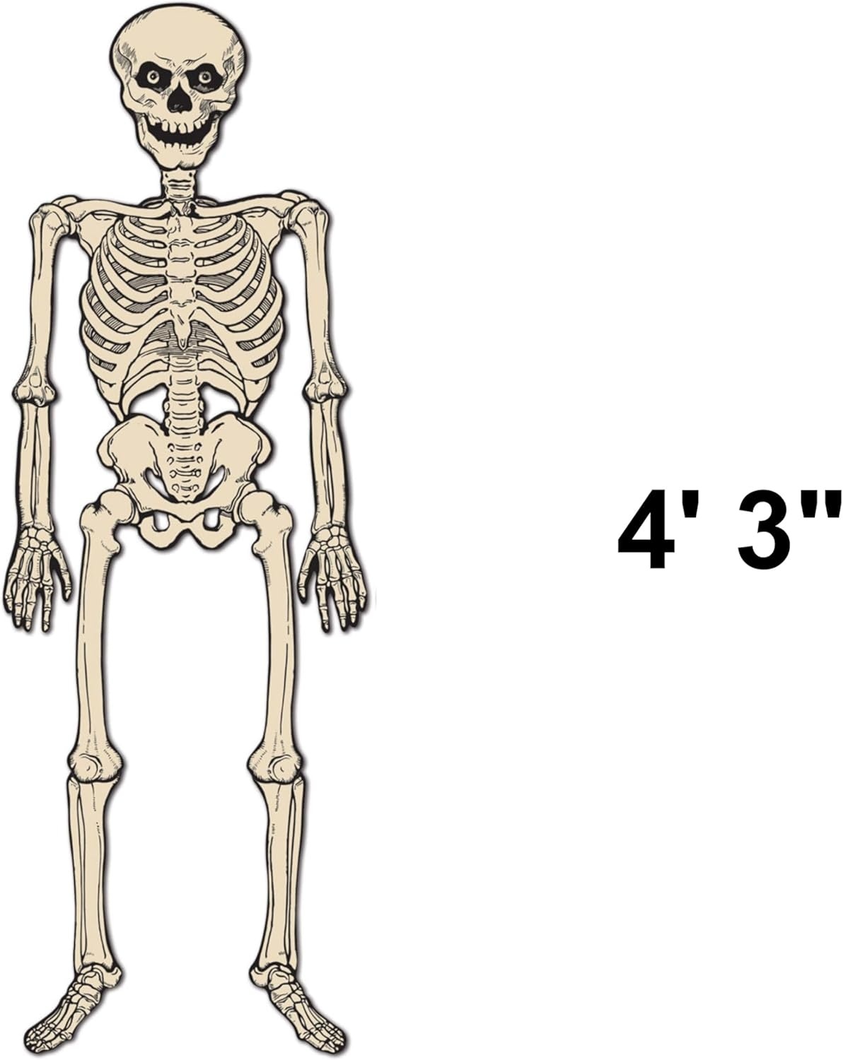 image:imageBeistle Vintage Halloween Jointed Skeleton Decorations 3 Pack Classic Full Body Cutouts Retro Wall Dcor Poseable Hanging Figures Spooky Seasonal Supplies Haunted Accents Creepy Props 4 3