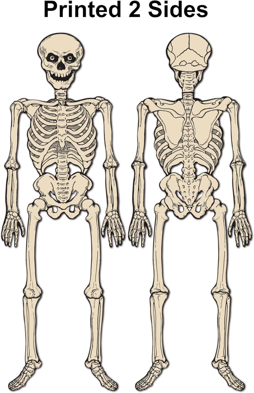 image:imageBeistle Vintage Halloween Jointed Skeleton Decorations 3 Pack Classic Full Body Cutouts Retro Wall Dcor Poseable Hanging Figures Spooky Seasonal Supplies Haunted Accents Creepy Props 4 3